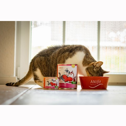 Cat Wet pet food Délice de Coeur 200g 6 Piece -5- Anifit