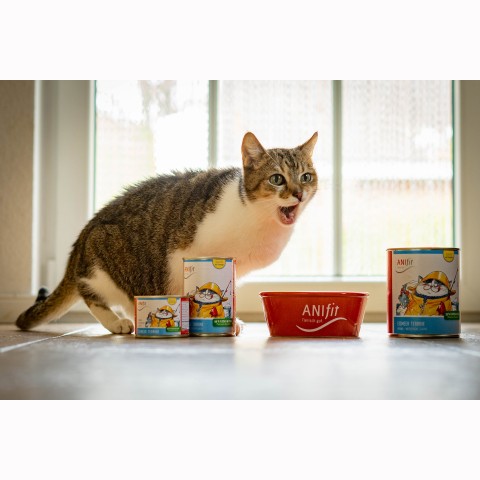 Cat Wet pet food Ice Sea Terrine (Eismeer Terrine) 200g 6 Piece -3- Anifit