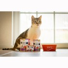 Katze Nassfutter Powertöpfchen 400g 6 Stück -3- Anifit